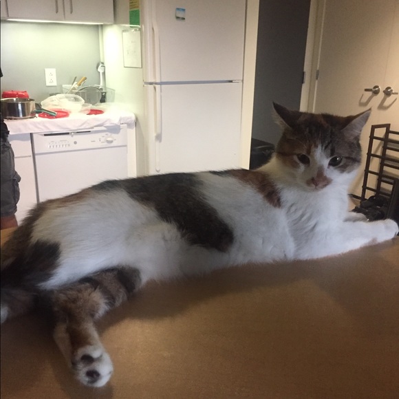 Meet your Posher, Phuong - Picture 1 of 1